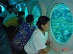 Bali Submarine Tour with Return Transfers